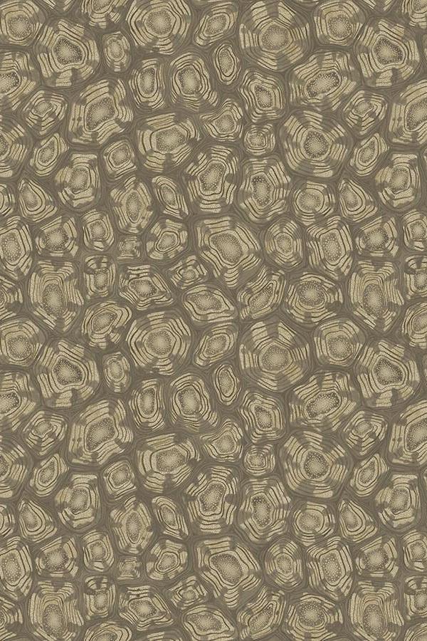 cole-son-savanna-shell-wallpaper-119-4020