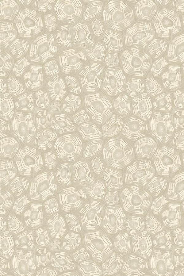cole-son-savanna-shell-wallpaper-119-4021