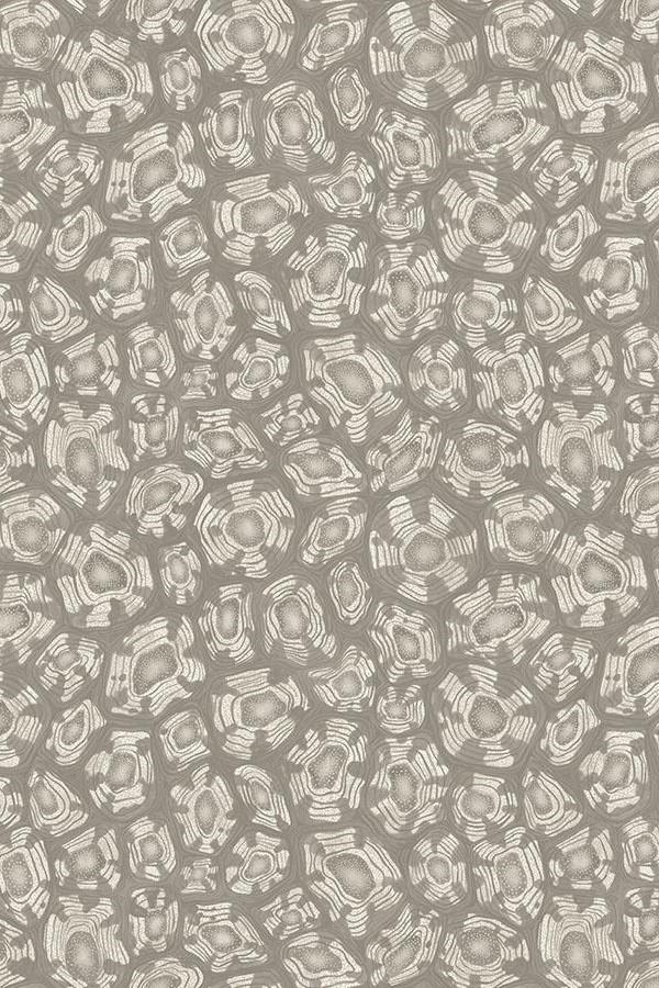 cole-son-savanna-shell-wallpaper-119-4022