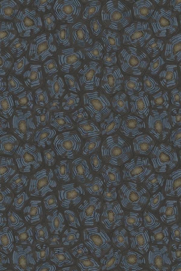 cole-son-savanna-shell-wallpaper-119-4024