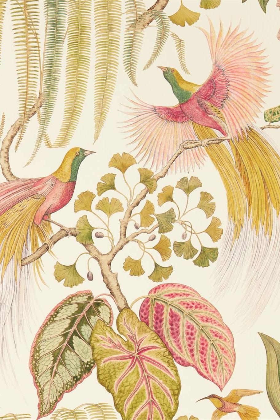Sanderson Glasshouse Bird Of Paradise Wallpaper DGLW216653
