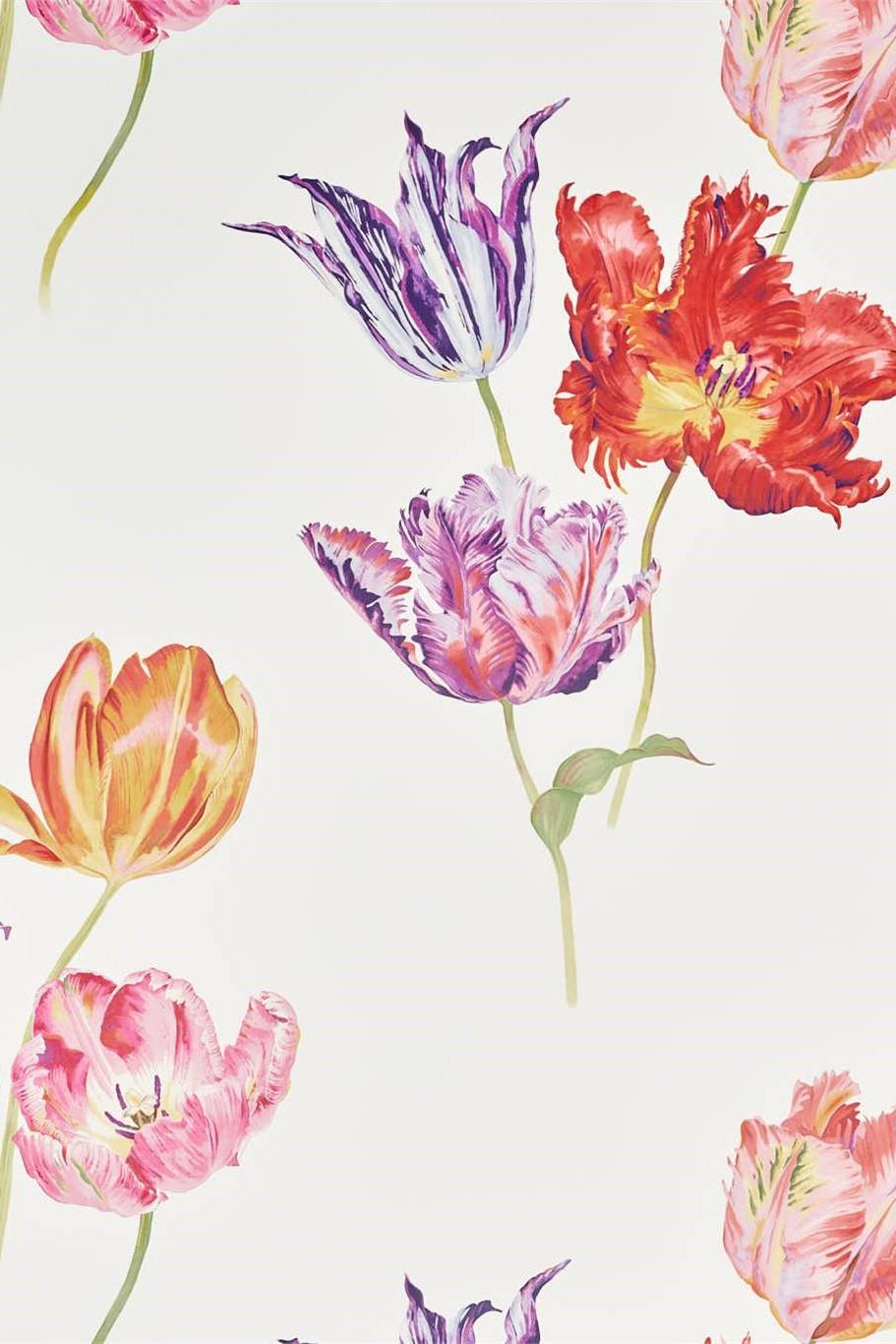 Sanderson Glasshouse Tulipomania Wallpaper DGLW216666