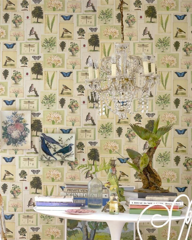 Designers Guild Flora and Fauna Wallpapers