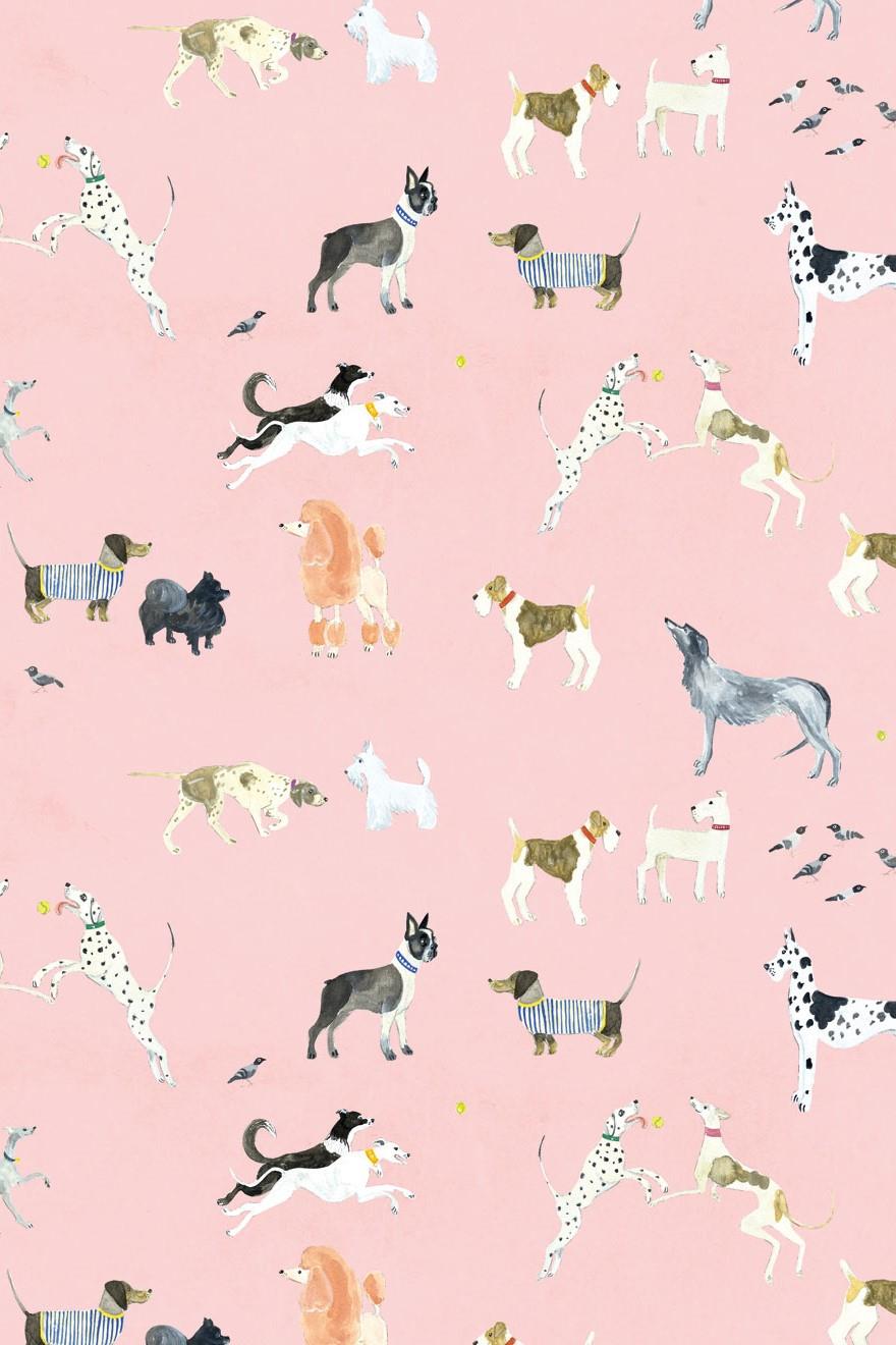 Milton & King Doggies Pink Wallpaper