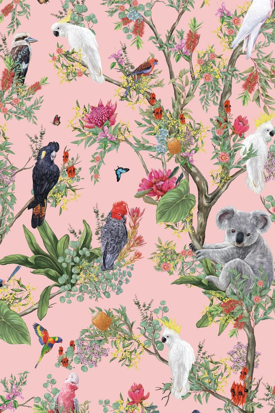 Matilda Wallpaper  Australian Flora  Fauna  Milton  King USA