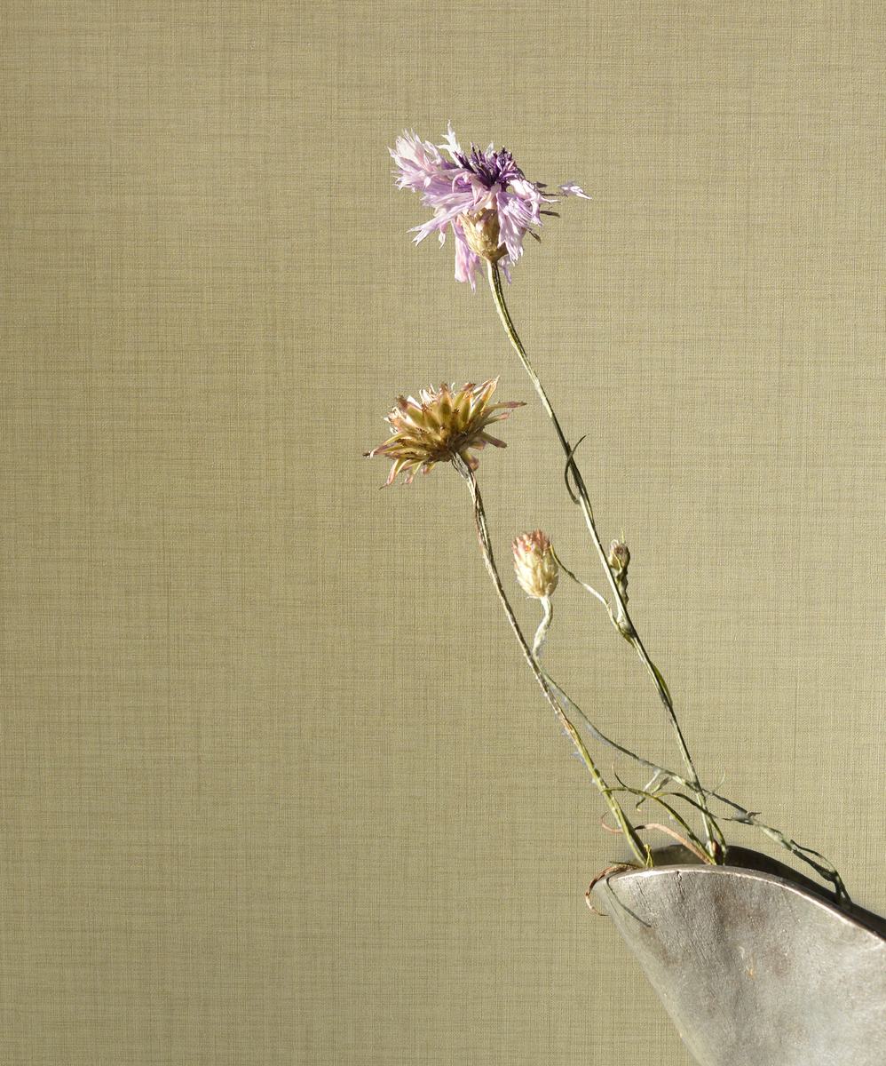 Tektura Fable Wallcovering